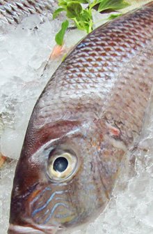 Frozen meat and poultry